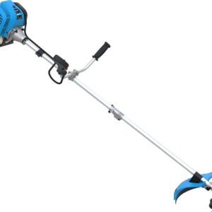 guede gfs 52 3 20240103.jpg