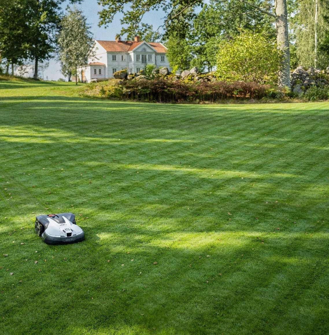 husqvarna 430v nera detail 45415.jpg husqvarna 430v nera detail 45415.jpg