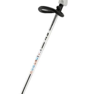 stihl fs 38 20210125.jpg